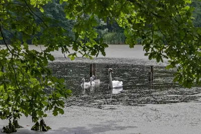 Blick auf einen Fluss in der Nähe des Ferienhauses