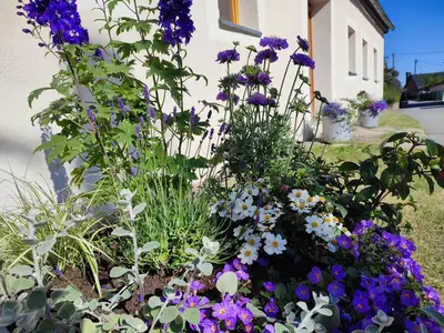 Ein Garten an der Unterkunft Ferienhaus 