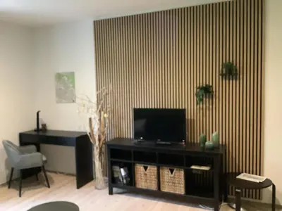 TV/Unterhaltungsangebot in der Unterkunft Ferienwohnung am Bienertpark