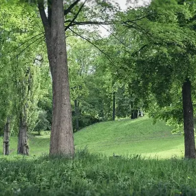 Ferienwohnung am Bienertpark
