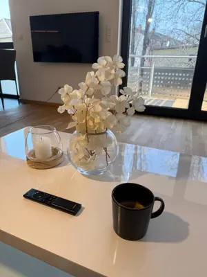 TV/Unterhaltungsangebot in der Unterkunft ElbeCity Apartment