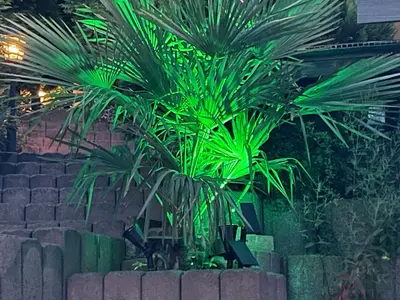 Ein Garten an der Unterkunft Ferienwohnung Liliensteinblick