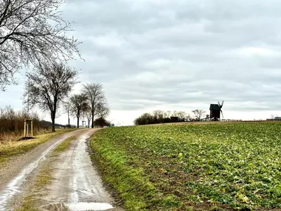 Naturlandschaft in der Nähe der Ferienwohnung