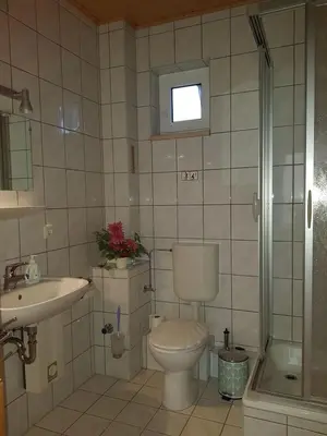 Ein Badezimmer in der Unterkunft Ferienhaus Gickelsberg