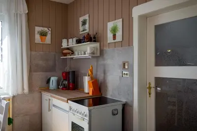 Küche/Küchenzeile in der Unterkunft Pension & Ferienwohnung Zum Waldblick