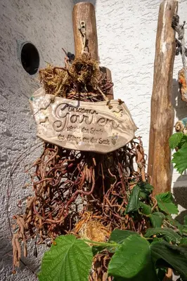 Ein Garten an der Unterkunft Pension & Ferienwohnung Zum Waldblick