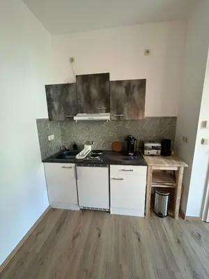 Küche/Küchenzeile in der Unterkunft RoCo Appartment