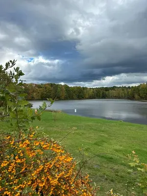 Naturlandschaft in der Nähe der Ferienwohnung