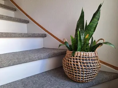 Grundriss der Unterkunft Ferienwohnung am Auenweg