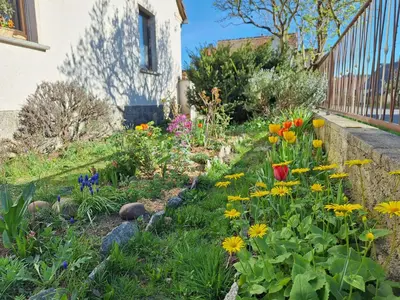 Ein Garten an der Unterkunft Ferienwohnung am Auenweg