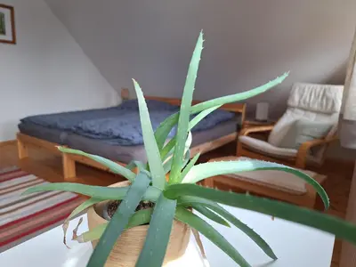 Ein Sitzbereich in der Unterkunft Ferienwohnung am Auenweg