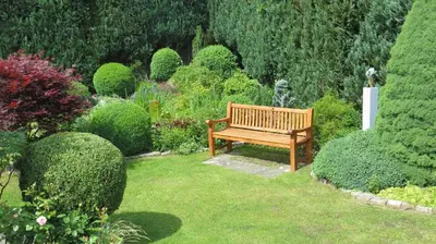 Ein Garten an der Unterkunft Ferienwohnung Dörner