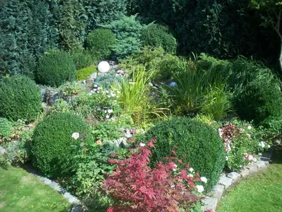 Ein Garten an der Unterkunft Ferienwohnung Dörner