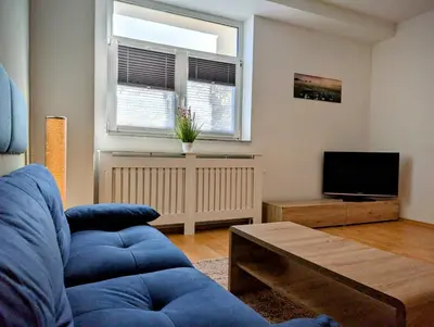 TV/Unterhaltungsangebot in der Unterkunft Business- & Urlaubswohnung