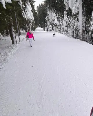 Ellis-Ferienwohnung-Erzgebirge im Winter