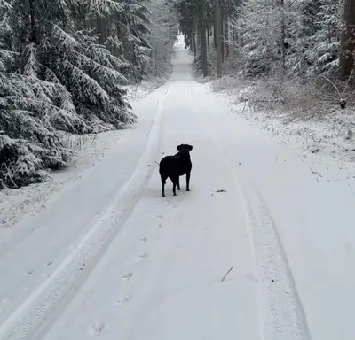 Ellis-Ferienwohnung-Erzgebirge im Winter