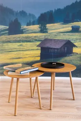 Grundriss der Unterkunft Design ElbOase-Zentral-Parkplatz-Waschmaschine-2 separate Schlafplätze