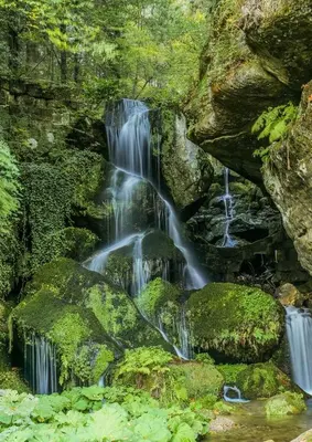 Naturlandschaft in der Nähe der Ferienwohnung
