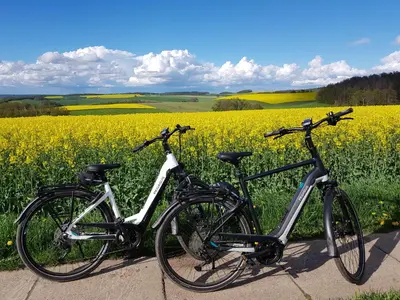 Radfahren an der Unterkunft Stilvolle Fewo Vogelnest, barrierefrei, Smart-TV, Parkplatz oder in der Nähe