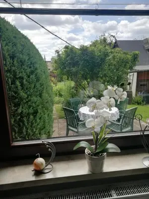 Ein Garten an der Unterkunft Kleines Haus mit Geschichte