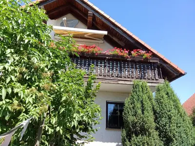 Ein Garten an der Unterkunft Haus Carmen