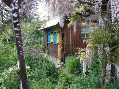 Ein Garten an der Unterkunft Winckler-Häuschen