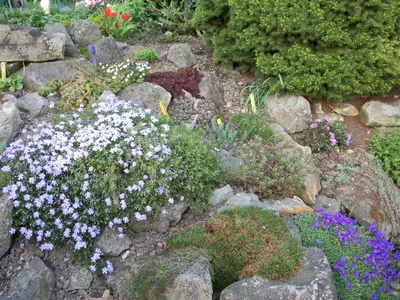 Ein Garten an der Unterkunft Winckler-Häuschen