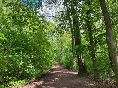 Naturlandschaft in der Nähe der Ferienwohnung