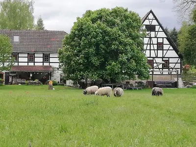 Grundriss der Unterkunft Kulturdenkmal Appenhof