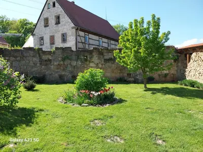 Ein Garten an der Unterkunft Vorwerk Wehlen