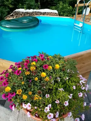 Der Swimmingpool an oder in der Nähe von Ferienhof Leuner