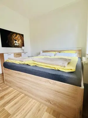 Ein Bett oder Betten in einem Zimmer der Unterkunft Gemütliches Altbauapartment II