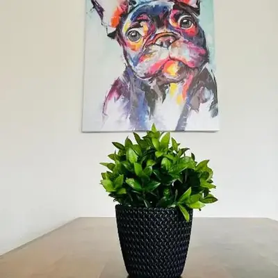 Gemütliches Altbauapartment II