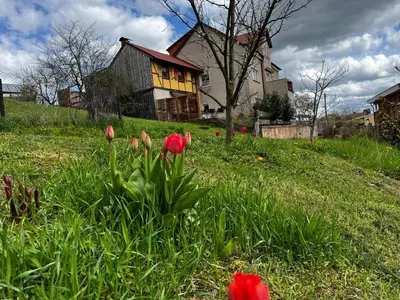 Ein Garten an der Unterkunft Ferienwohnung Makowitschka