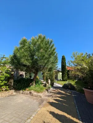 Ein Garten an der Unterkunft Ferienhaus Königsnase