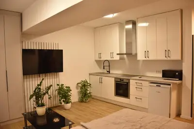 Küche/Küchenzeile in der Unterkunft City Apartment Dresden 4