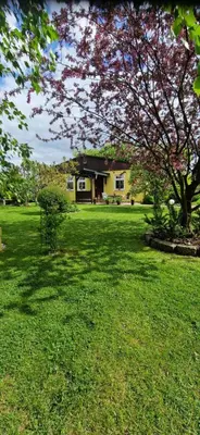 Ein Garten an der Unterkunft Ferienhaus Rumpelt