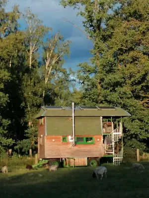 Ein Garten an der Unterkunft Weidmannsruh Natur pur - exklusives Tiny house