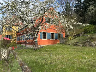 Ein Garten an der Unterkunft Winzerhaus am Elbhang