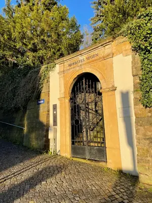 Grundriss der Unterkunft Wundervolle Wohnung im Elbhang von Dresden Loschwitz