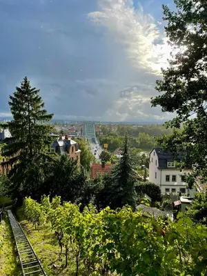 Naturlandschaft in der Nähe der Ferienwohnung