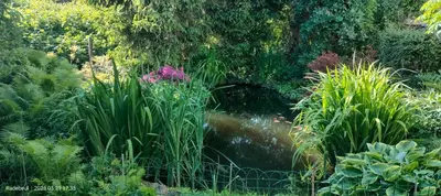 Ein Garten an der Unterkunft Pension Kaden