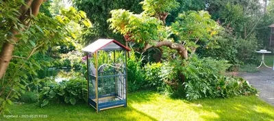 Ein Garten an der Unterkunft Pension Kaden
