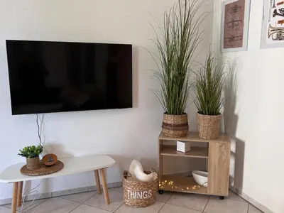 TV/Unterhaltungsangebot in der Unterkunft Trompeten-, Posaunen- & Tuba-Appartment in Stolpen