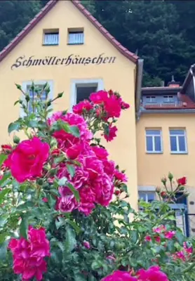 Ein Garten an der Unterkunft Charmante Ferienwohnung 2 im Schmöllerhäuschen