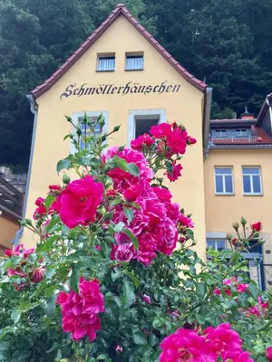 Ein Garten an der Unterkunft Kleines Natursteinapartment 4 für 1 Person