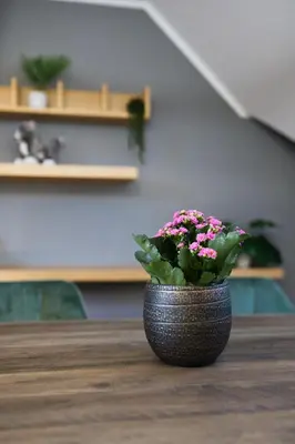 Grundriss der Unterkunft DresdenStay 3 Schlafzimmer 2 Bäder Balkon Kamin PS4