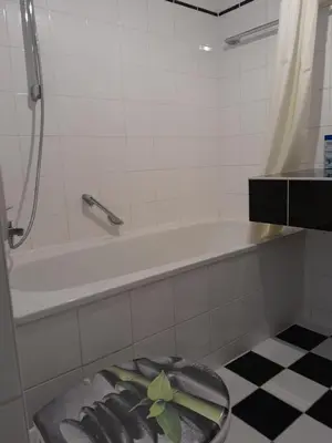 Ein Badezimmer in der Unterkunft Appartement Denis