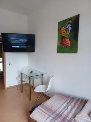 TV/Unterhaltungsangebot in der Unterkunft Elbe Quartier Meissen TOP MONTEURUNTERKÜNFTE Wohnung 11