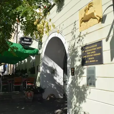 Akzent Hotel Goldner Hirsch